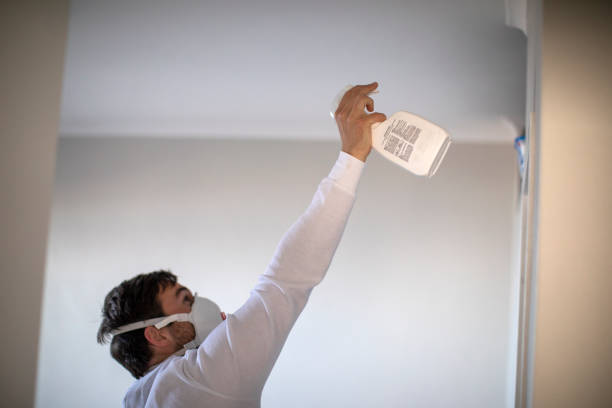 Best Local Mold Removal Service  in Bethesda, MD