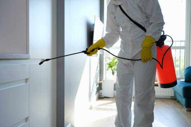 Best Crawl Space Mold Removal  in Bethesda, MD